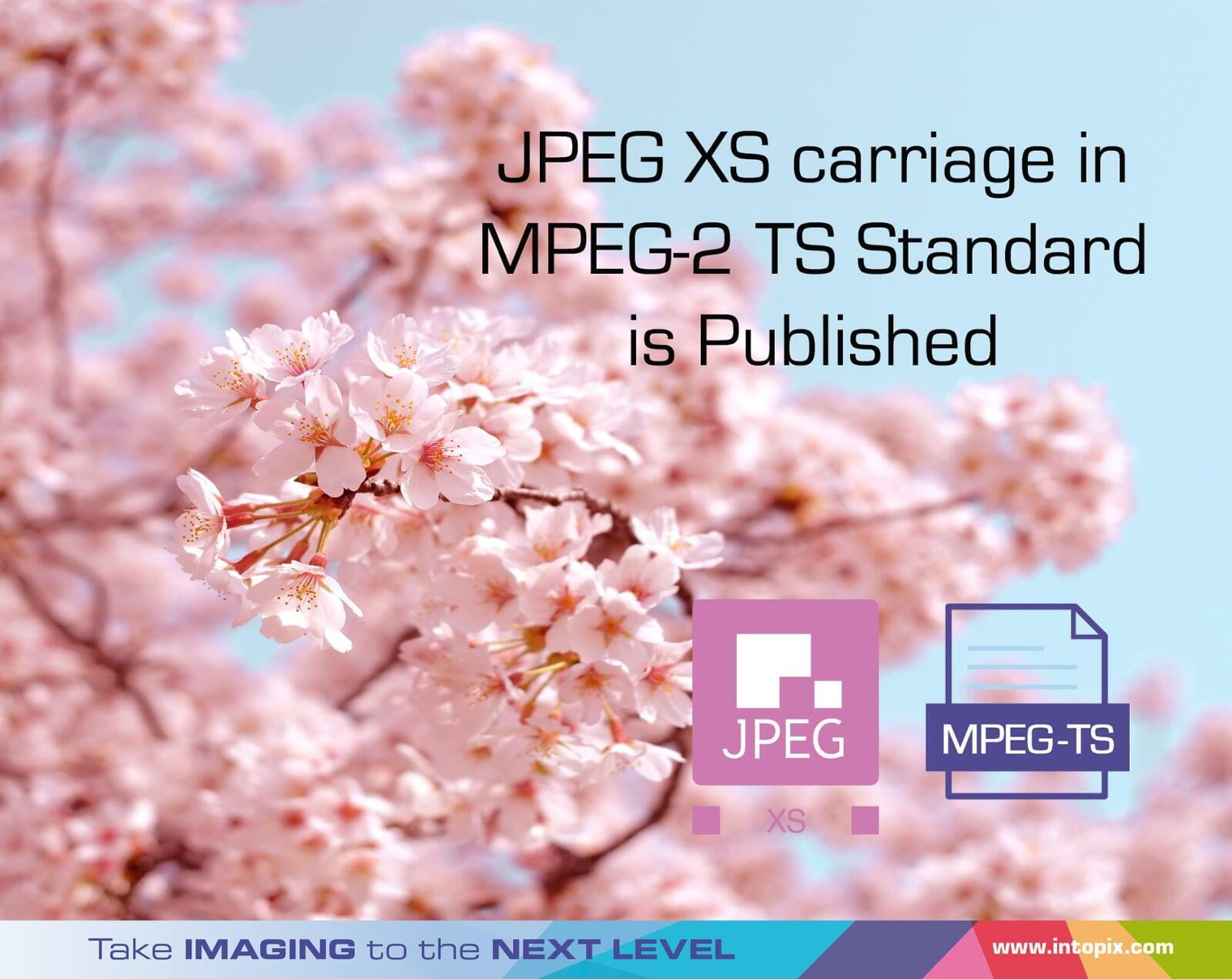 Publication du transport JPEG XS dans la norme MPEG-2 TS